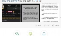 网红黑料网址 网红黑料黑料正能量,正能量背后的真相与反思